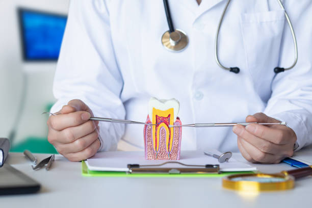 Best Emergency Dental Surgery in Teviston, CA